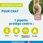 Vetoform Gatto Pipette per il controllo dei parassiti 6x1ml