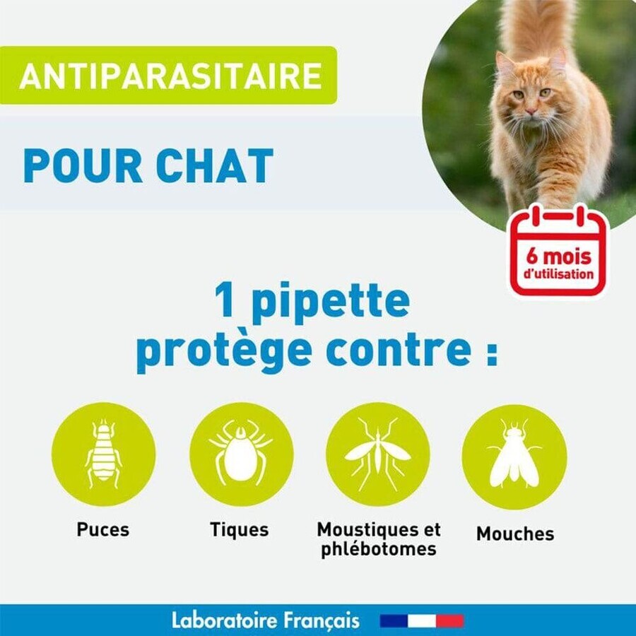 Vetoform Gatto Pipette per il controllo dei parassiti 6x1ml