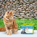 Vetoform Gatto Pipette per il controllo dei parassiti 6x1ml Vetoform Gatto Pipette per il controllo dei parassiti 6x1ml