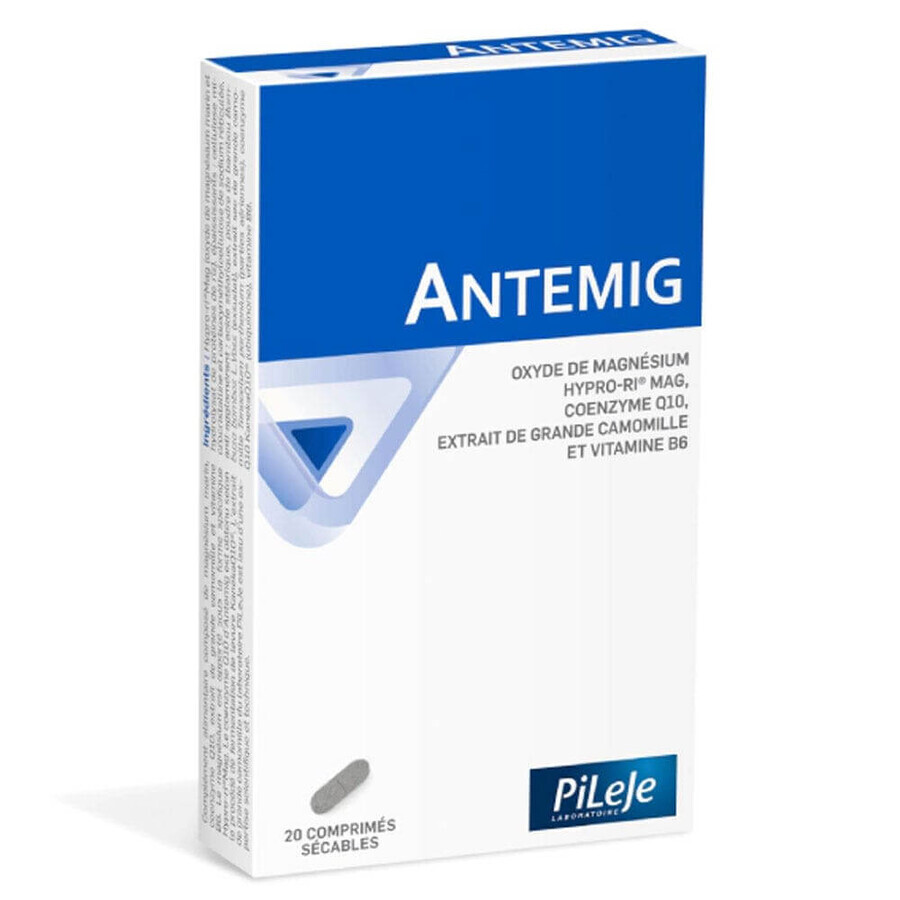 Pileje Antemig Ossido di Magnesio 20 compresse