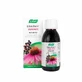 A.Vogel France Bebida caliente Echinaforce 100ml