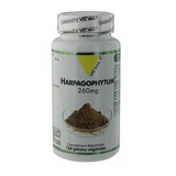 Vit'All+ Harpagophytum 260 mg 120 capsules