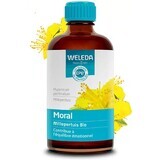 Weleda Pflanzenextrakte Bio Gute Laune Hypericum 100ml