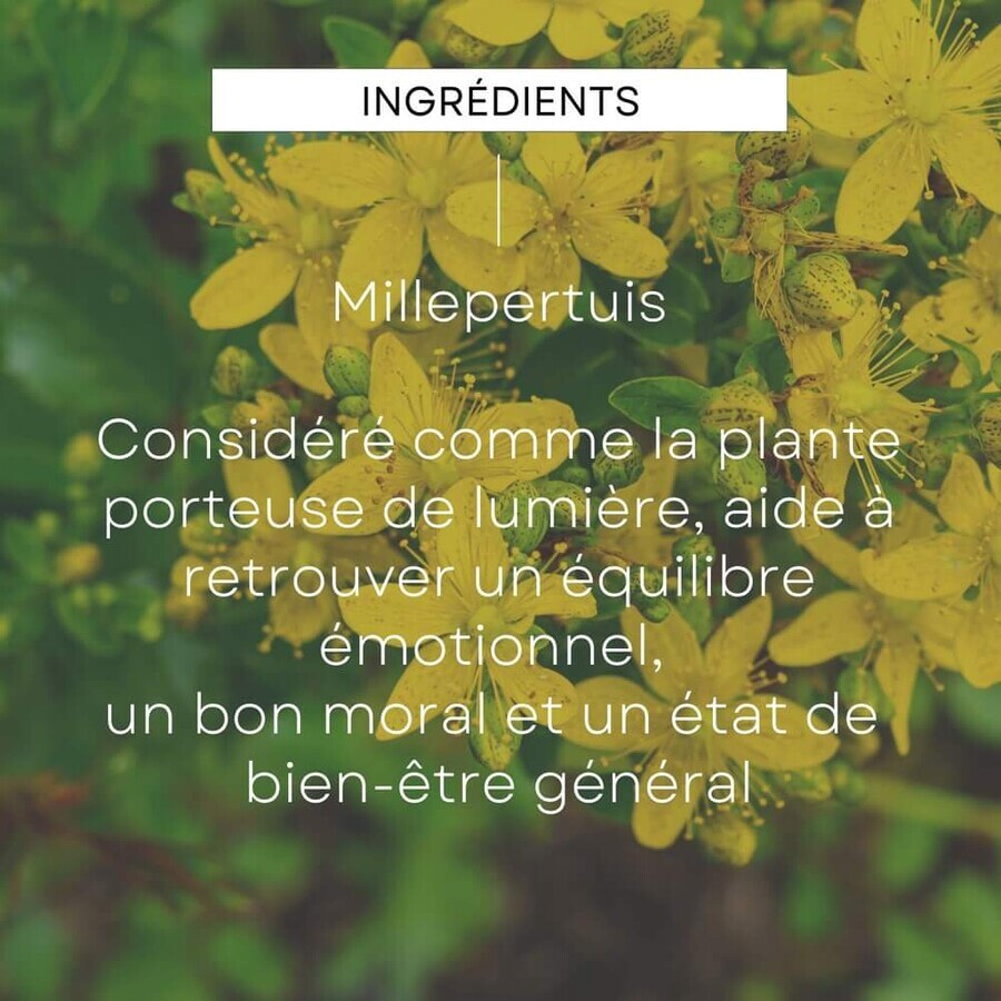 Weleda Les Extraits de Plantes Bio Moral Millepertuis 100ml