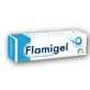 EG Labo Flamigel Wound and Burn Healing Gel 100g