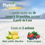 Phytoxil Gola irritata senza zucchero Da 6 anni 16 compresse Phytoxil Gola irritata senza zucchero Da 6 anni 16 compresse