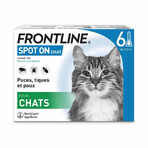 Frontline Spot On Katzen 6 Pipetten 0,5ml Frontline Spot On Katzen 6 Pipetten 0,5ml
