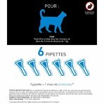 Frontline Spot On Katzen 6 Pipetten 0,5ml Frontline Spot On Katzen 6 Pipetten 0,5ml
