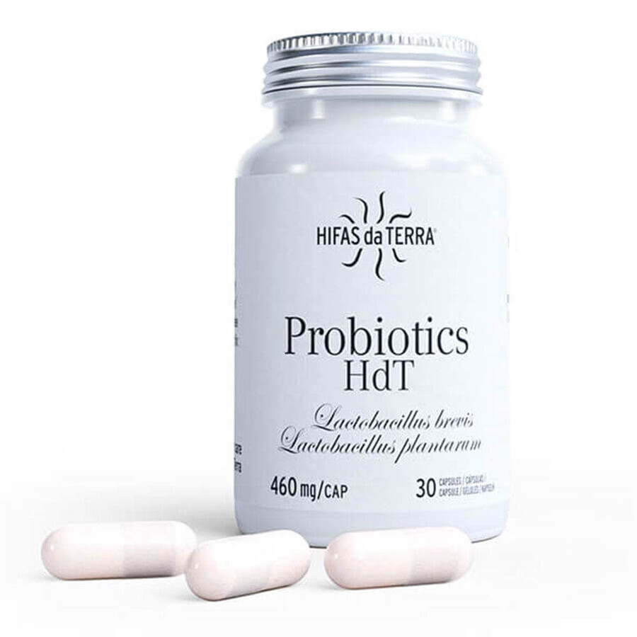 Hifas da Terra Mico-Digest 300ml + 30 gélules