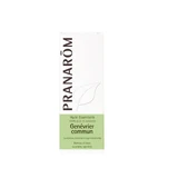 Pranarôm Les Huiles Essentielles Pranarom Huile Essentielle De Commun 5ml