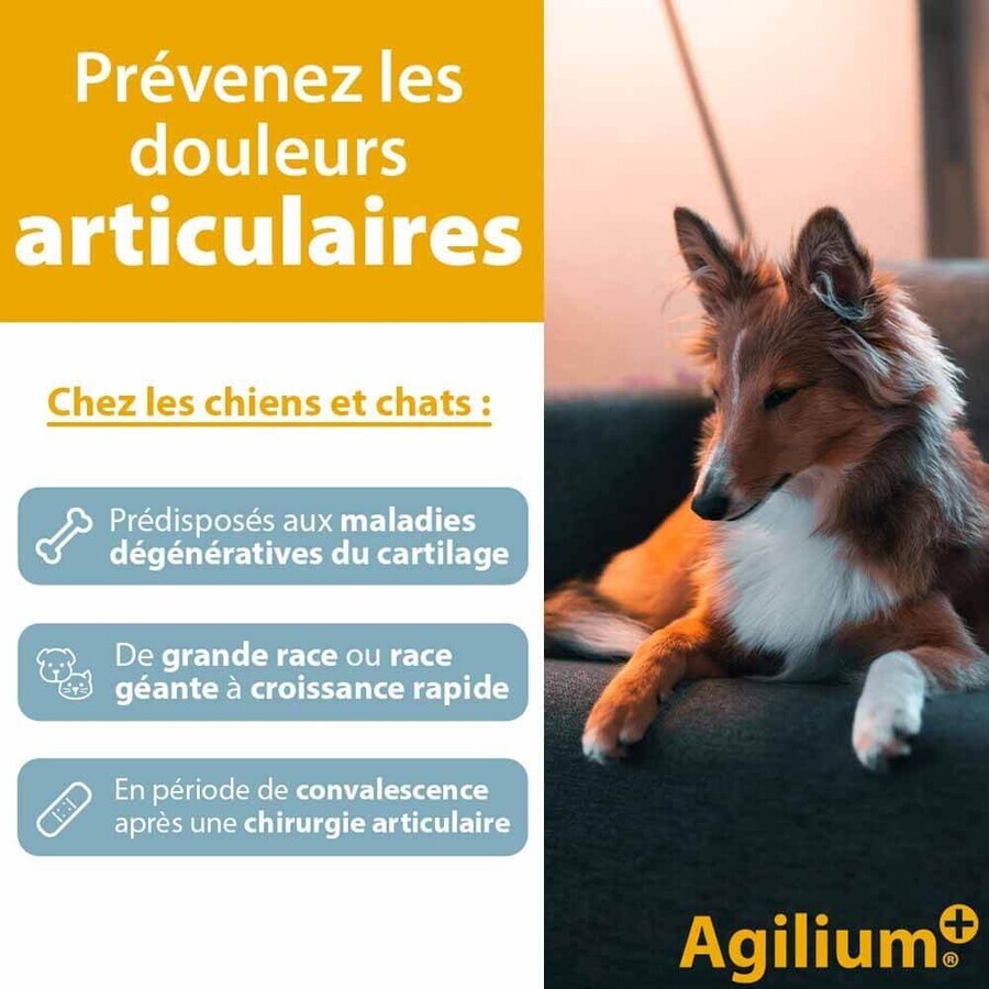 Ceva Agilium+ comprimidos aperitivos para perros y gatos 30 comprimidos