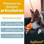 Ceva Agilium+ comprimidos aperitivos para perros y gatos 30 comprimidos Ceva Agilium+ comprimidos aperitivos para perros y gatos 30 comprimidos