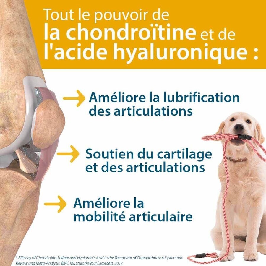 Ceva Agilium+ comprimidos aperitivos para perros y gatos 30 comprimidos