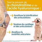 Ceva Agilium+ comprimidos aperitivos para perros y gatos 30 comprimidos Ceva Agilium+ comprimidos aperitivos para perros y gatos 30 comprimidos