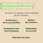 Pranarôm Aromaboost Focus Bio Roll-On 5ml