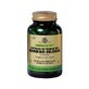 Solgar Ginkgo Biloba Sfp 60 Plant Gelsules Circulation sanguine 60 g&#233;lules v&#233;g&#233;tales