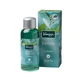 Kneipp