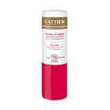Cattier Cuidado Labial Bio Antiedad 4g