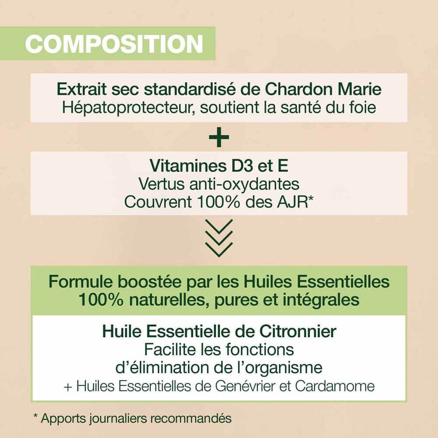 Pranarôm Aromaboost Detox 60 Caspole