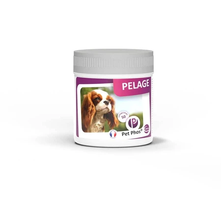 Pet Phos Coat Dog, 50 Tabletten