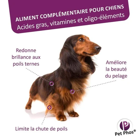 Pet Phos Coat Dog, 50 Tabletten