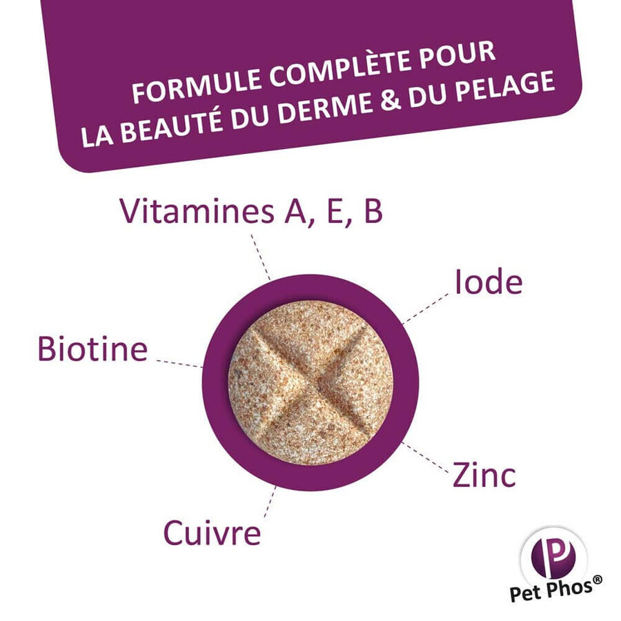 Ceva Pet Phos Coat Dog 50 Tablets Ceva Pet Phos Coat Dog 50 Tablets