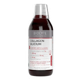 Biocyte Health Collageen Silicum met collageen en hyaluronzuur Confort Articulaire 500ml
