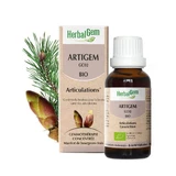 Herbalgem Bourgeons Articulaciones Bio 30ml