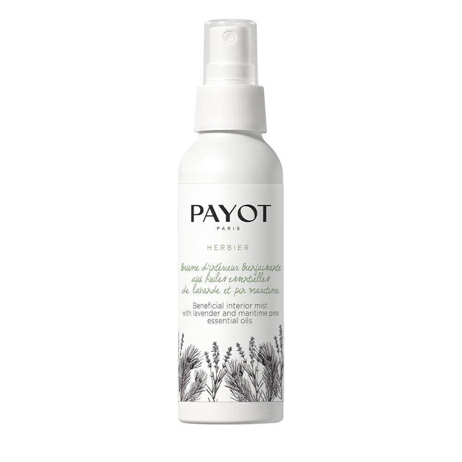 Payot Nebbia organica benefica per interni 100ml