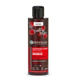 Centifolia Repairing Cream Shampoo Geschwächtes und brüchiges Haar 200 ml