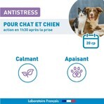 Vetoform Hond en Kat Anti-Stress Tabletten op Kruidenbasis 20 Tabletten