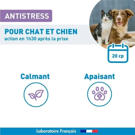 Vetoform Chien et Chat Comprimés anti-stress à base de plantes 20 comprimés