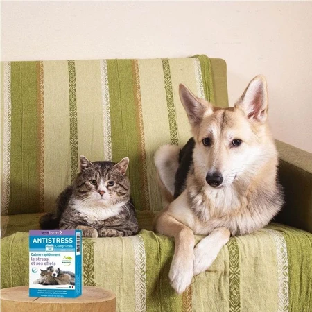 Vetoform Chien et Chat Comprimés anti-stress à base de plantes 20 comprimés