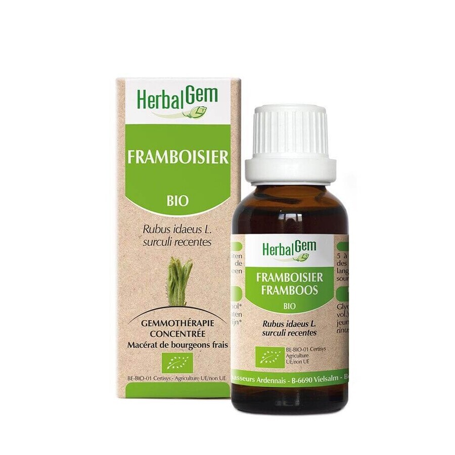 Herbalgem Bio-Himbeere 30ml