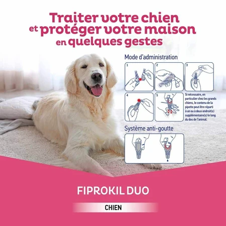 Clement-Thekan Fiprokil FIprokil Duo Floh- und Zeckenschutz für Hunde 20-40kg 4 Pipetten Chien 10-20kg 2.68ml x4 Pipetten