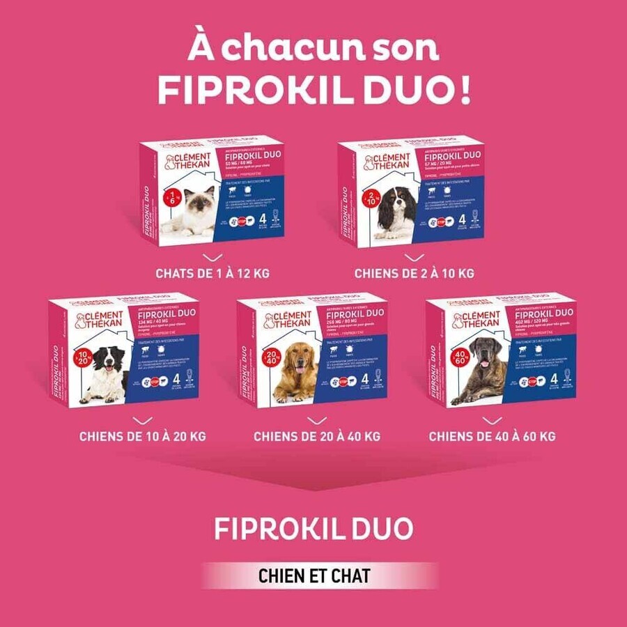 Clement-Thekan Fiprokil FIprokil Duo Flea and Tick Control for Dog 20-40kg 4 Pipettes Chien 10-20kg 2.68ml x4 pipettes