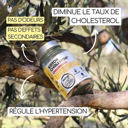 Kotor Pharma Colestor Cholesterin 60 Kapseln