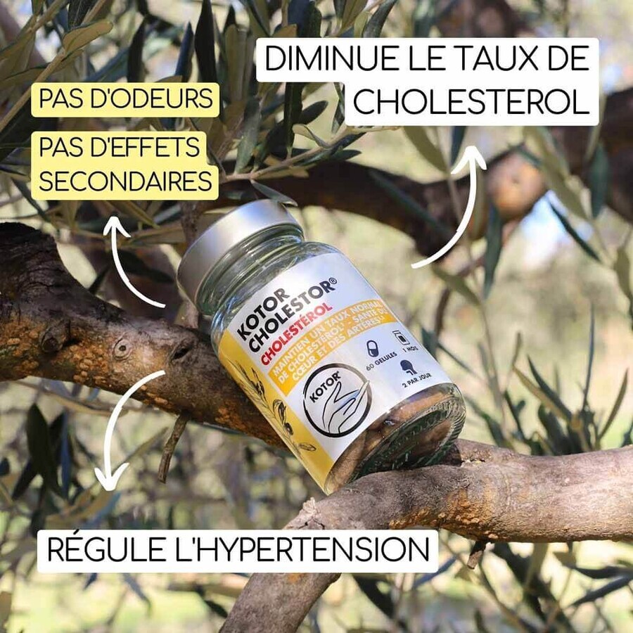Kotor Pharma Colestor Cholesterol 60 capsules