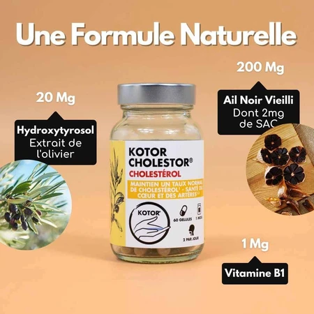 Kotor Pharma Colestor Cholesterin 60 Kapseln