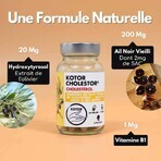 Kotor Pharma Colestor Colesterolo 60 capsule Kotor Pharma Colestor Colesterolo 60 capsule