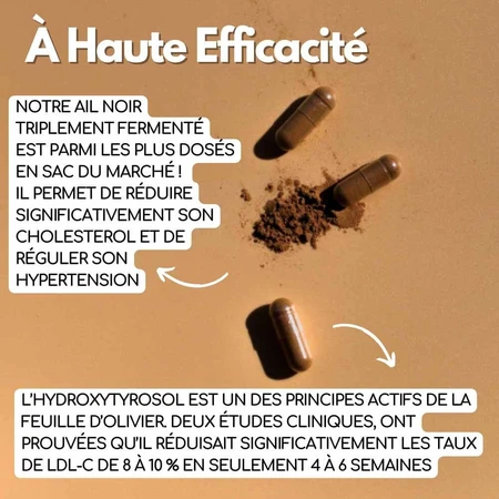 Kotor Pharma Colestor Cholesterin 60 Kapseln