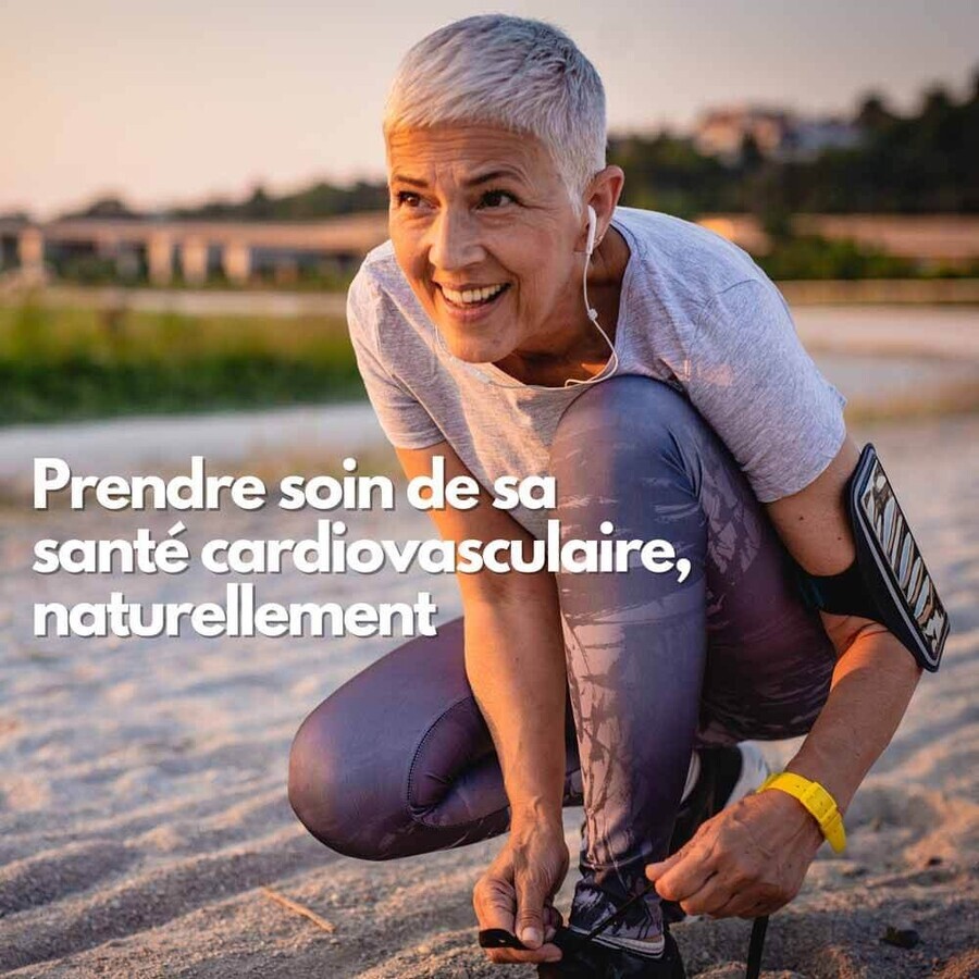 Kotor Pharma Colestor Cholesterol 60 capsules