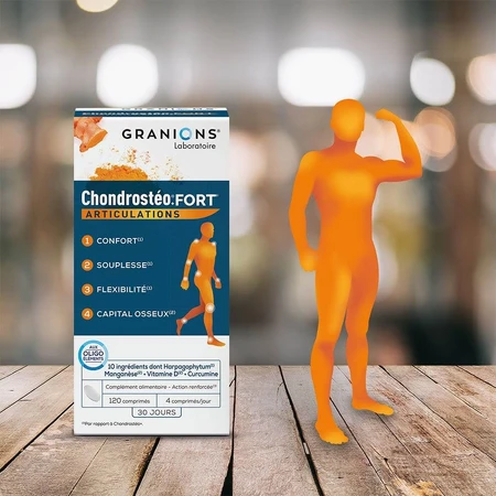 Granions Starke knorpelige Gelenke 120 Tabletten