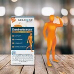 Granions Sterke chondrosteale gewrichten 120 tabletten Granions Sterke chondrosteale gewrichten 120 tabletten