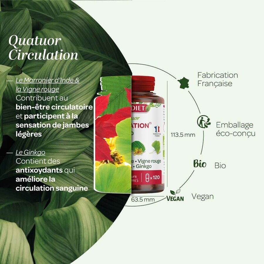 Superdiet Quatuor Bloedsomloop Rode Wijnstok 120 Capsules Superdiet Quatuor Bloedsomloop Rode Wijnstok 120 Capsules