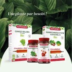 Superdiet Quatuor Bloedsomloop Rode Wijnstok 120 Capsules
