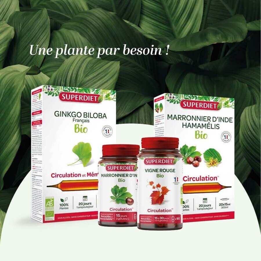 Superdiet Quatuor Bloedsomloop Rode Wijnstok 120 Capsules Superdiet Quatuor Bloedsomloop Rode Wijnstok 120 Capsules