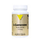 Vit&#39;All+ L-carnosina aminoacido 330g 30 capsules
