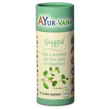 Ayur-Vana Guggul Cholesterin 60 Kapseln