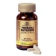 Solgar Prenatal Nutrients 120 tablets Maternité Femmes enceintes 120 comprimés
